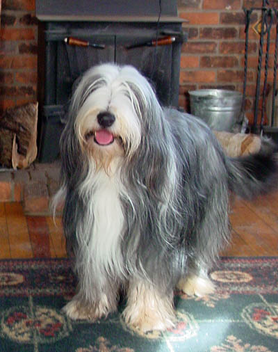 In January 2002, Baillie standing in the family room, looking handsome for his mommy 